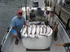 (06/22/2017) - Nice Striped Bass